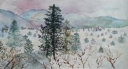 Уральская сказка Рябова Катя 14 лет